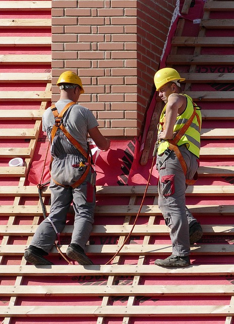 2 men on roof